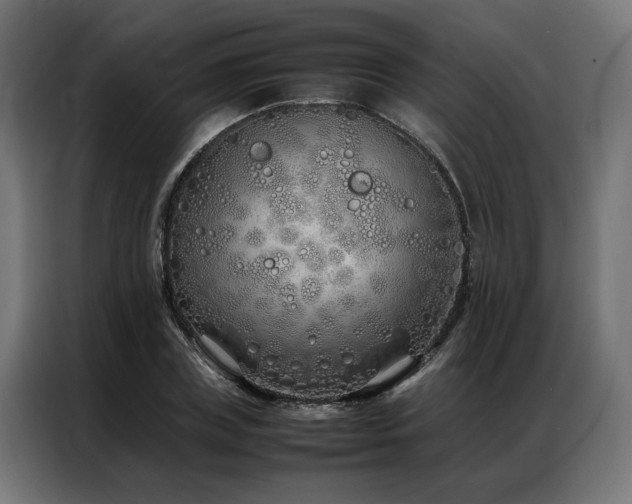 X0000086990835200704161504