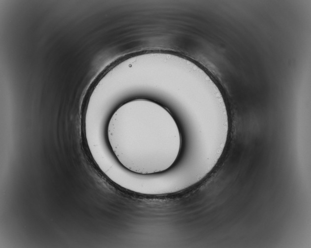 X0000086990836200704161504