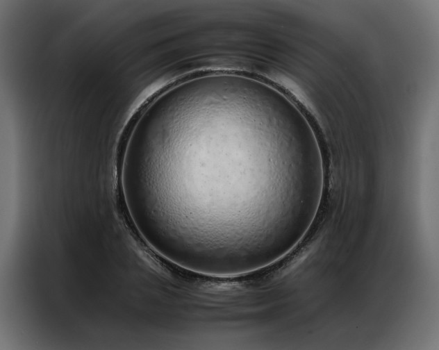 X0000086990837200704161504