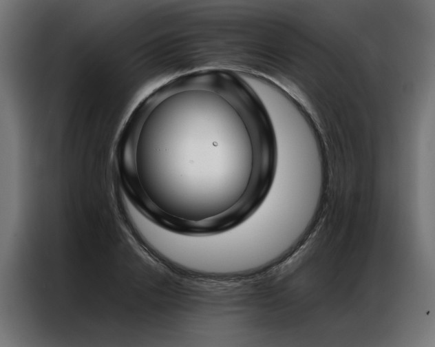 X0000086990838200704161504