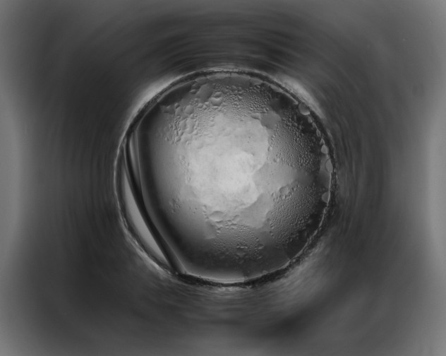 X0000086990839200704161504