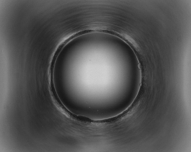 X0000086990840200704161504