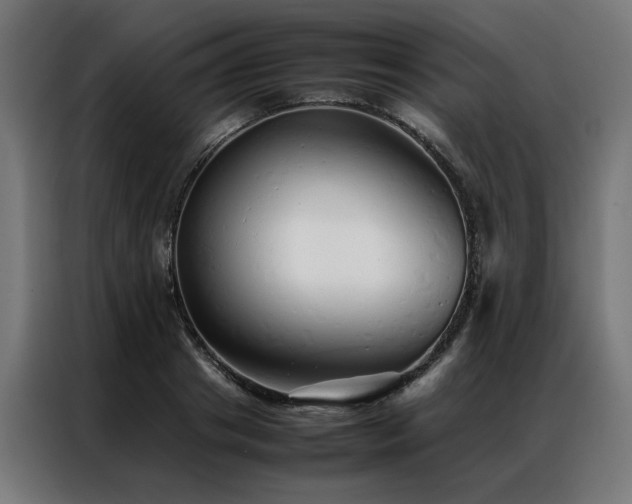 X0000086990841200704161504