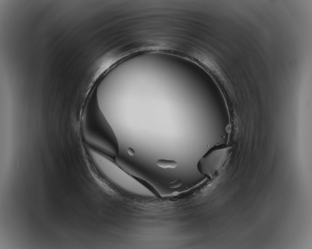 X0000086990842200704161504