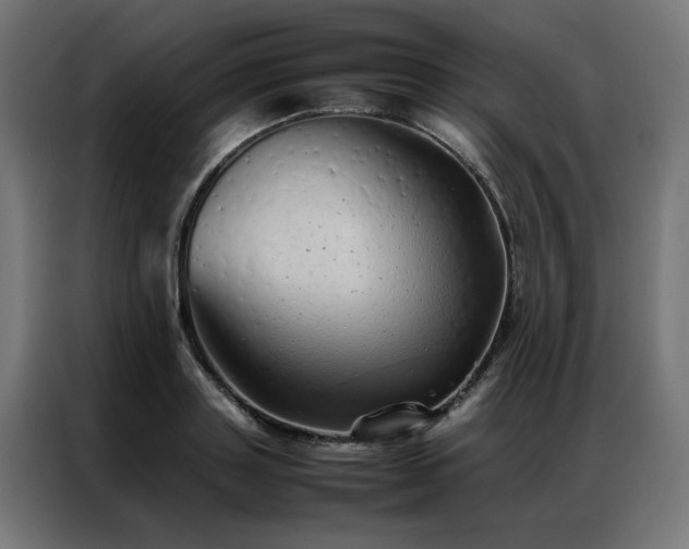 X0000086990843200704161504
