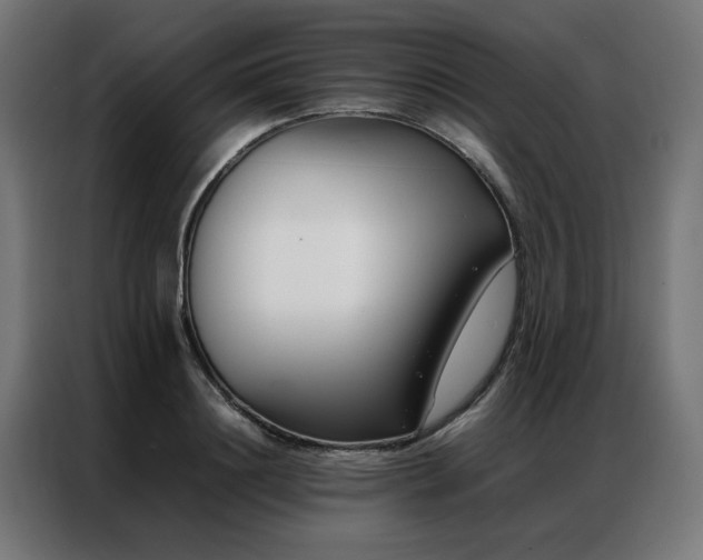 X0000086990844200704161504