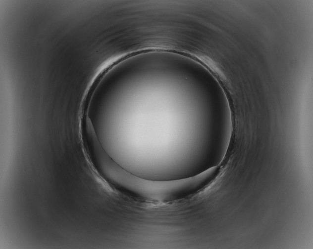 X0000086990846200704161504