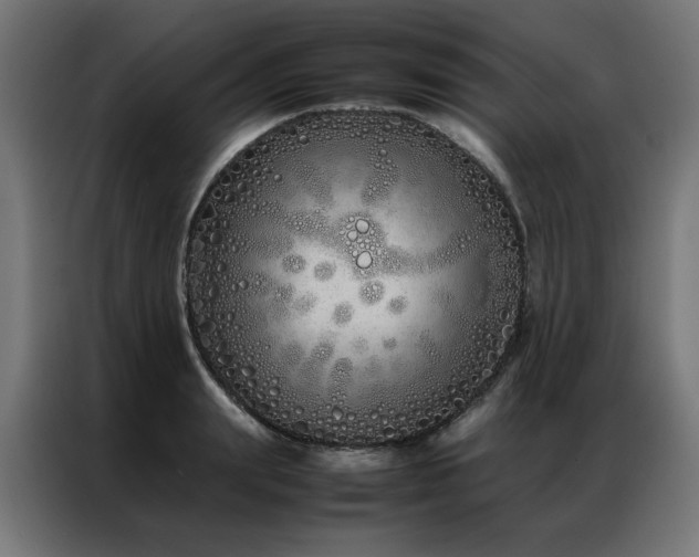 X0000086990847200704161504