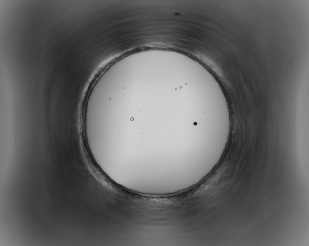 X0000086990848200704161504