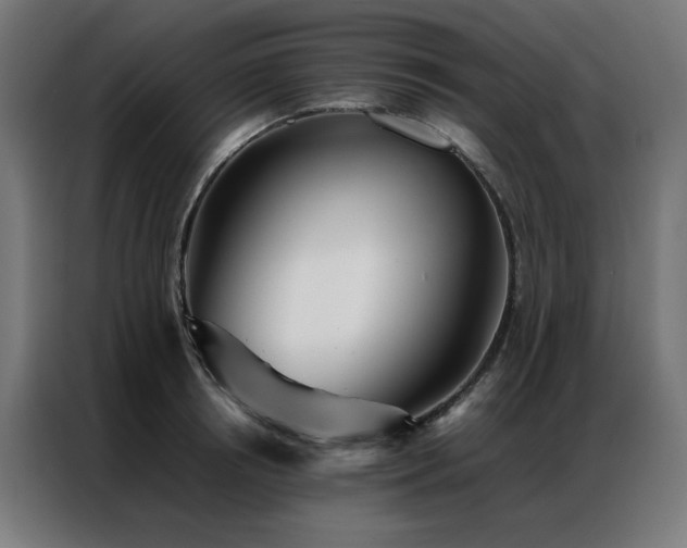 X0000086990850200704161504