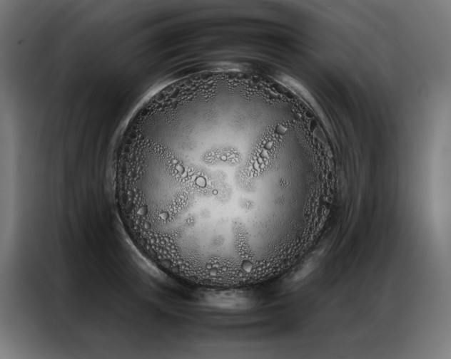 X0000086990851200704161504