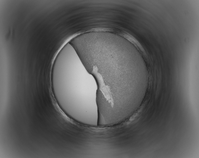 X0000086990852200704161505
