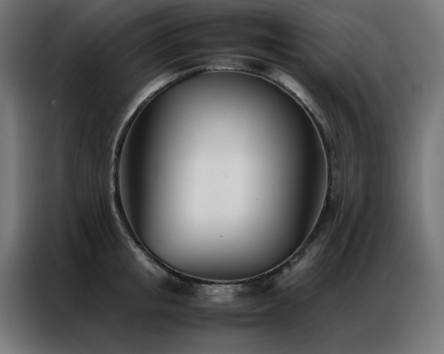 X0000086990853200704161505