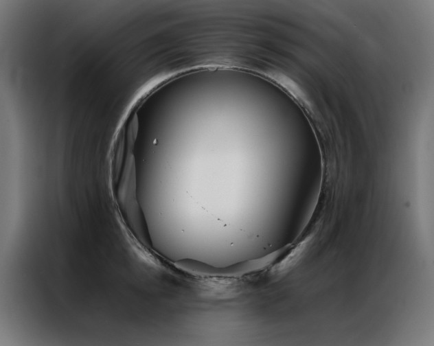 X0000086990854200704161505