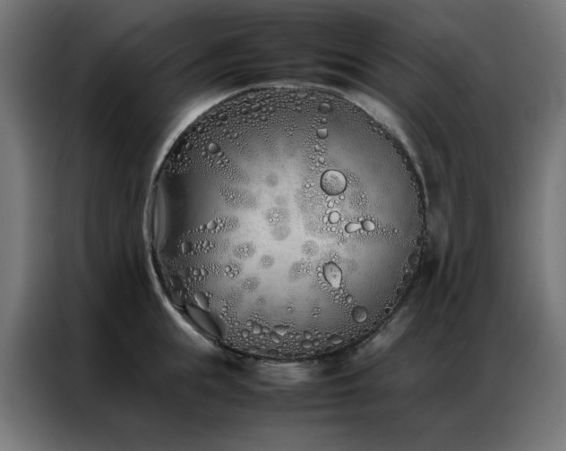 X0000086990855200704161505