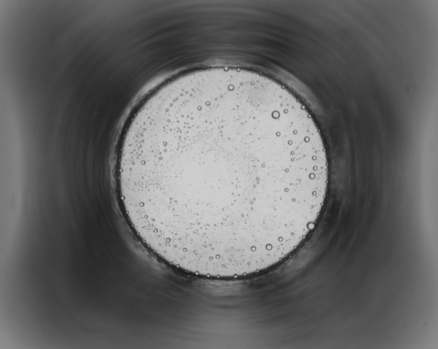 X0000086990856200704161505