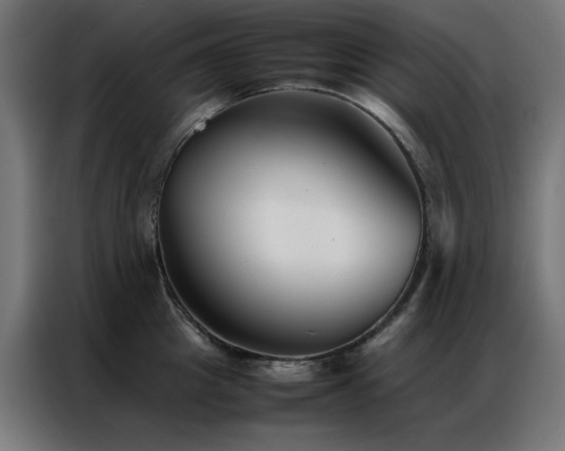 X0000086990857200704161505