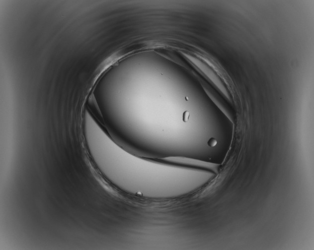 X0000086990858200704161505