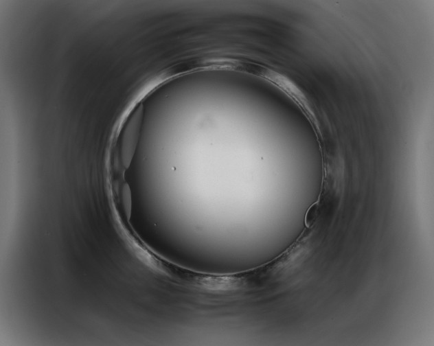 X0000086990859200704161505