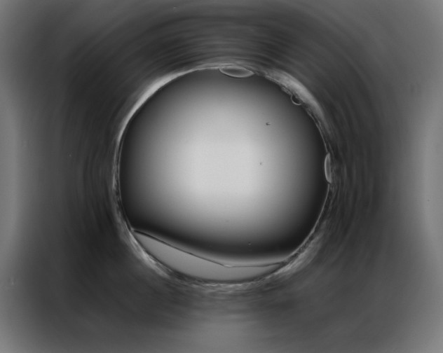 X0000086990860200704161505