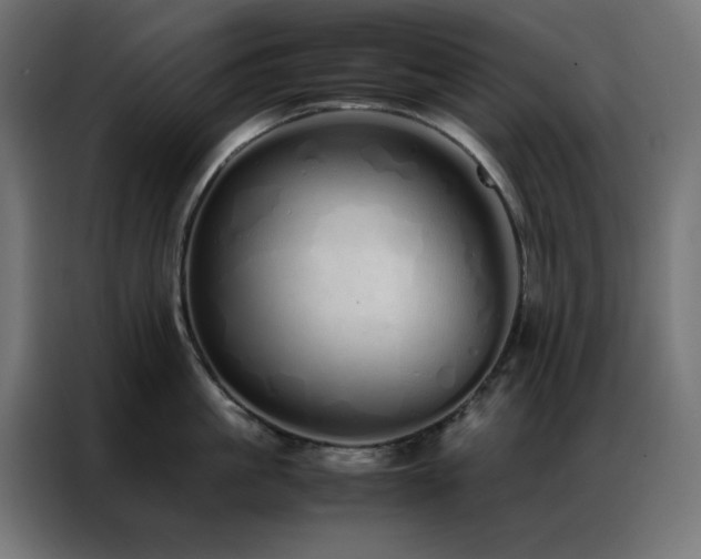 X0000086990861200704161505