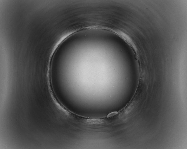 X0000086990863200704161505