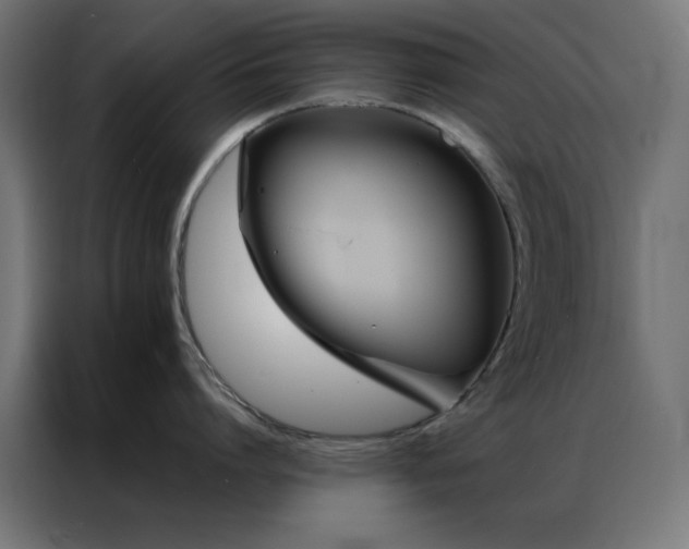 X0000086990864200704161505