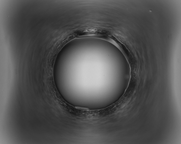 X0000086990865200704161504
