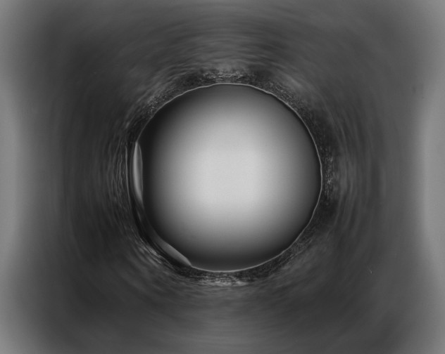 X0000086990866200704161504
