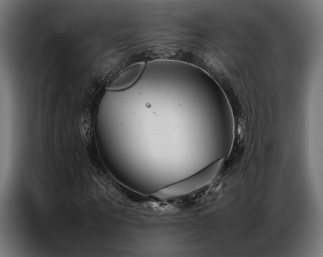 X0000086990867200704161504