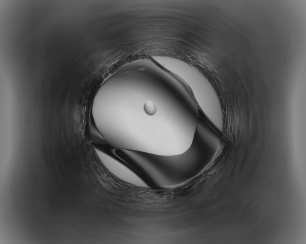 X0000086990868200704161504