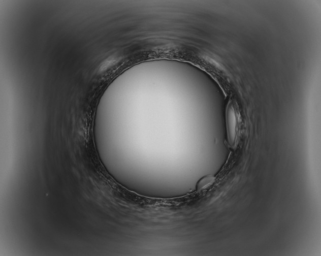 X0000086990869200704161504