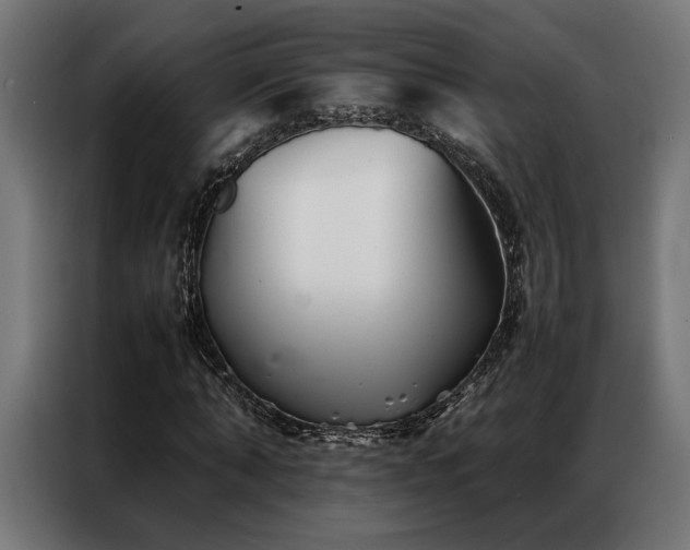 X0000086990870200704161504