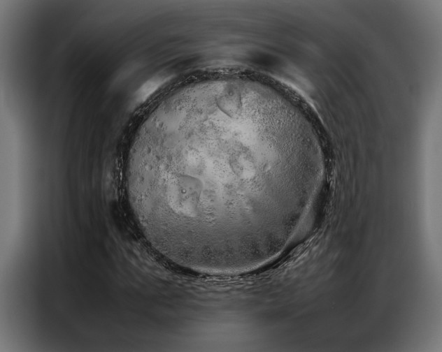 X0000086990871200704161504