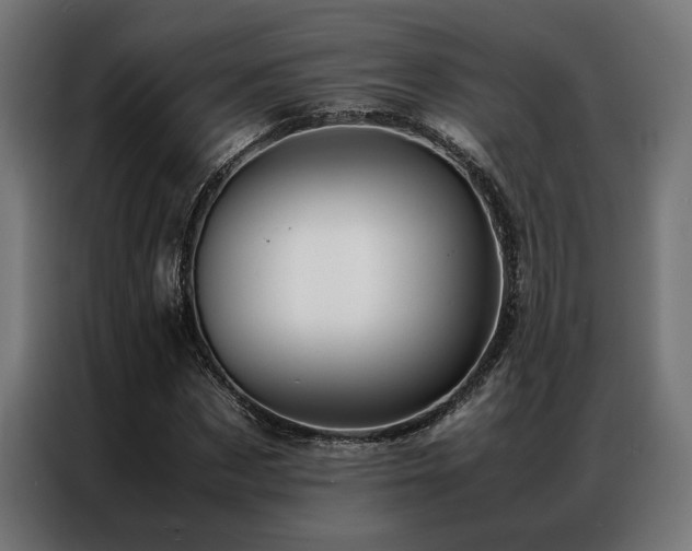 X0000086990873200704161504