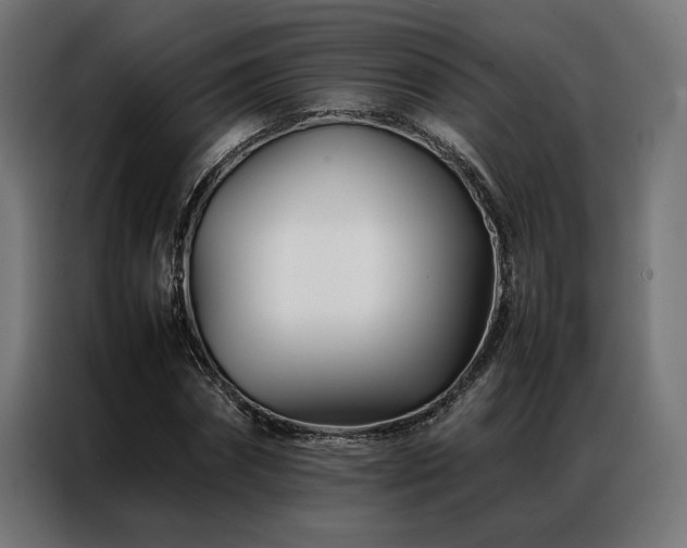 X0000086990874200704161504