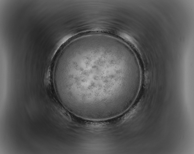 X0000086990875200704161504