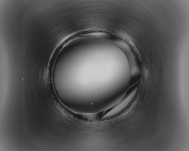 X0000086990876200704161504