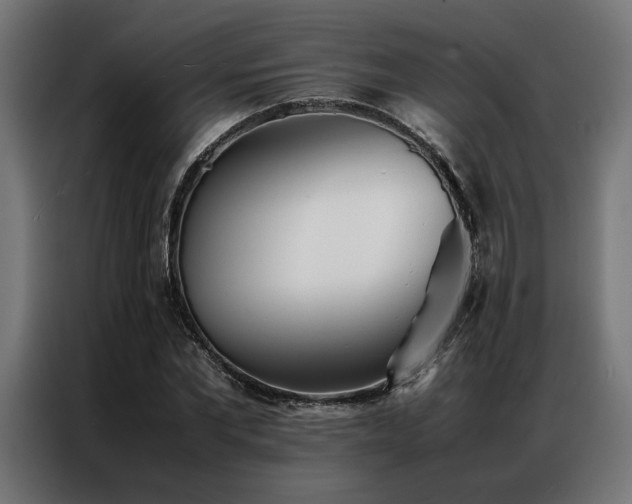 X0000086990877200704161504