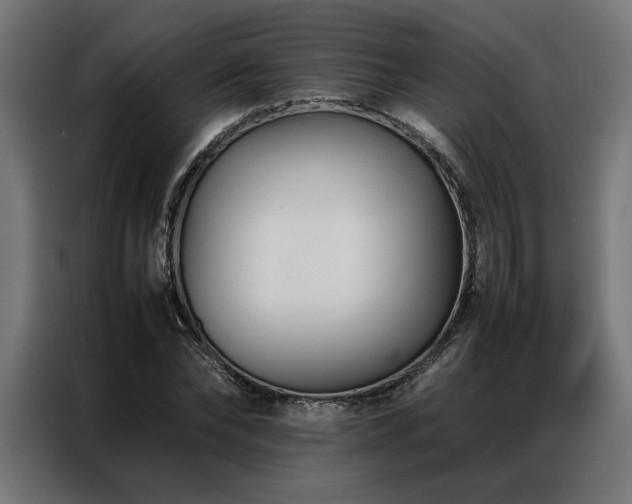 X0000086990878200704161504