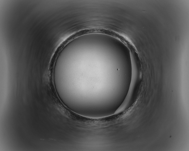 X0000086990879200704161504