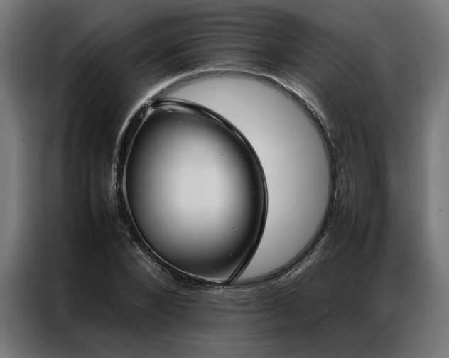 X0000086990880200704161504