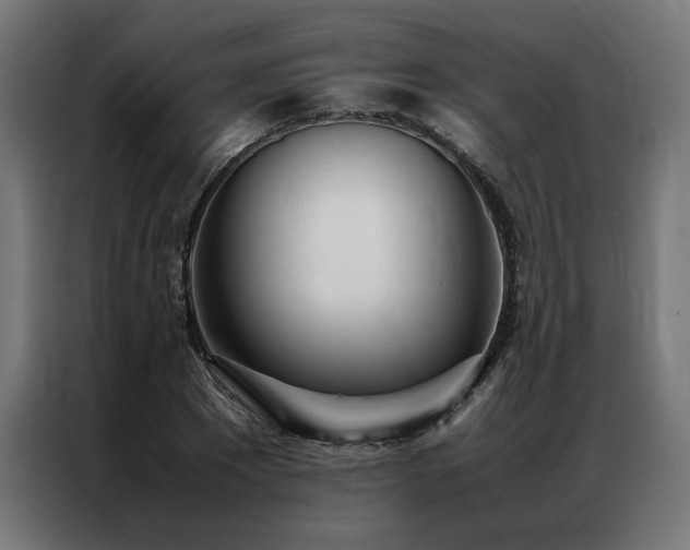 X0000086990881200704161504