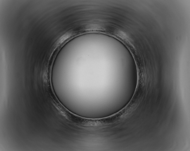 X0000086990882200704161504
