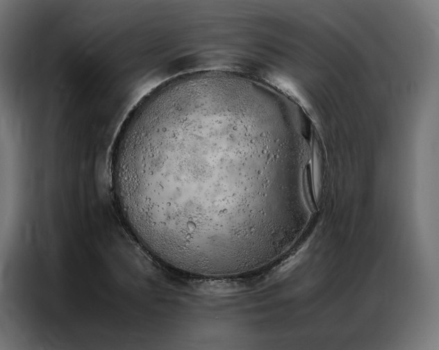 X0000086990883200704161504