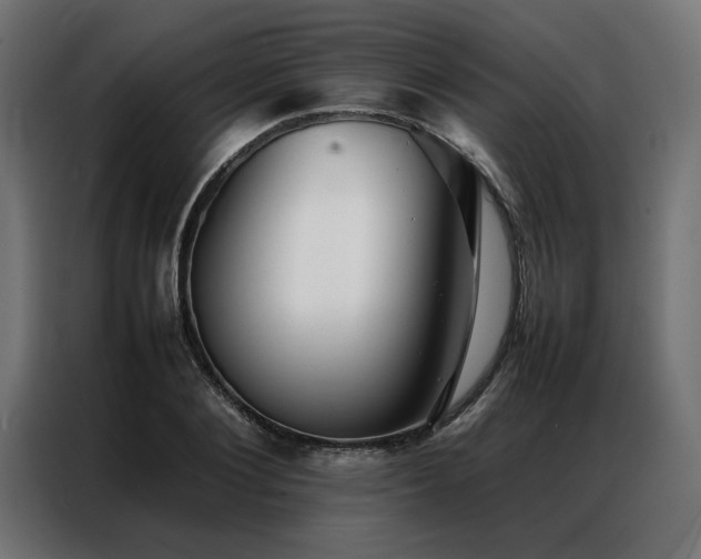 X0000086990884200704161504
