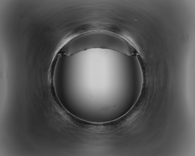 X0000086990885200704161504