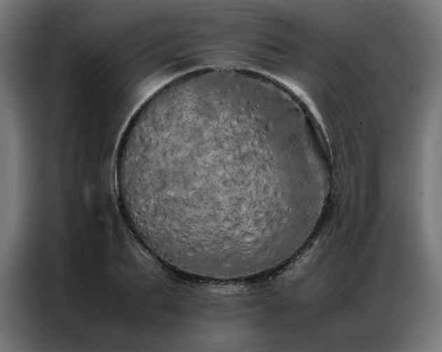X0000086990887200704161504