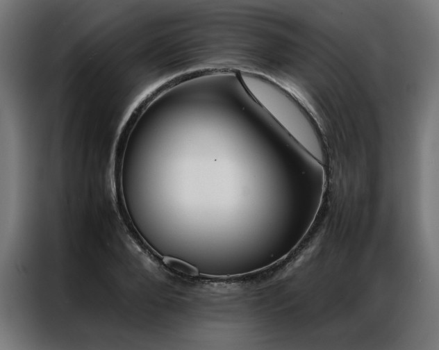 X0000086990888200704161504