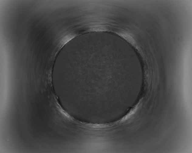 X0000086990889200704161504